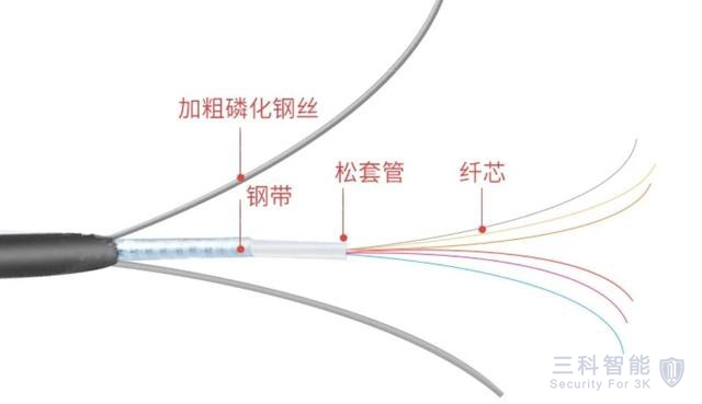 蜜桃视频APP污下载光纤